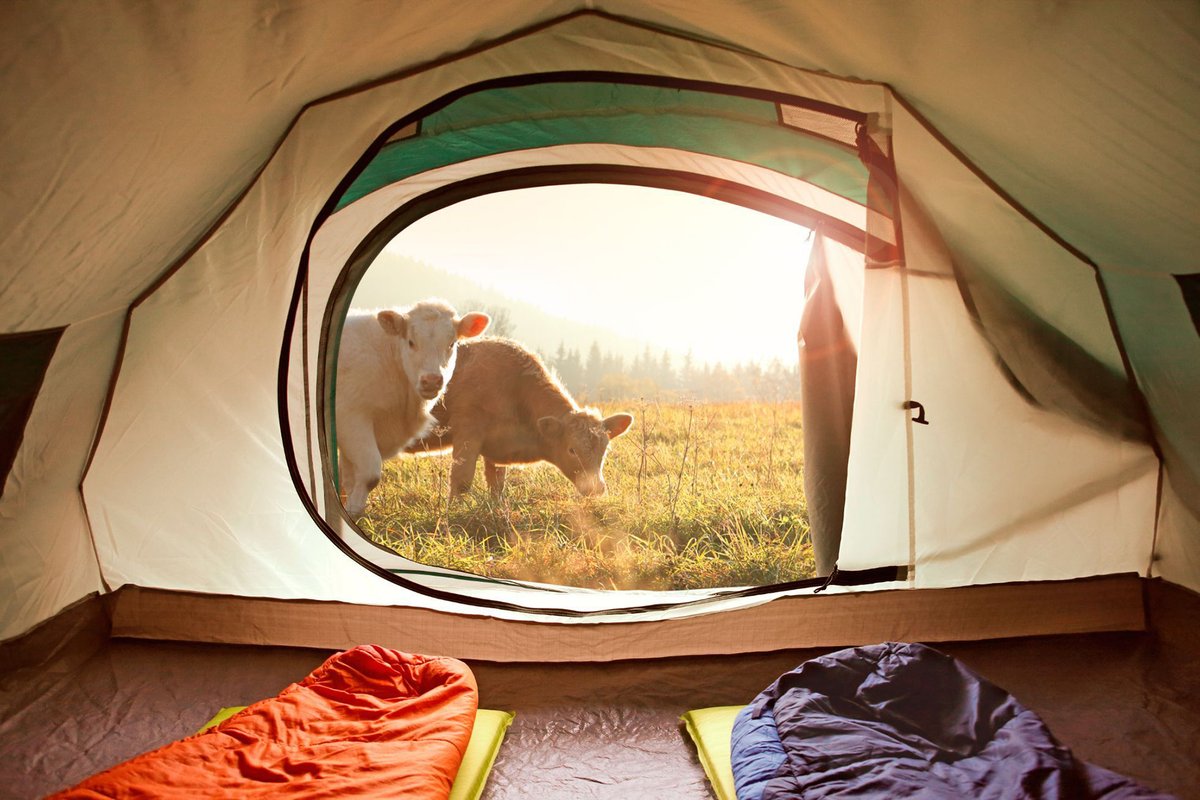 Products & Services Review tweet media