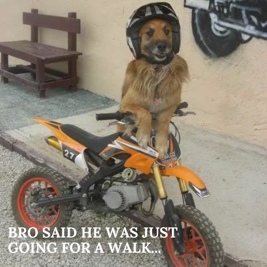 CryptoMoto ❤️🏍️ ❤️ tweet media