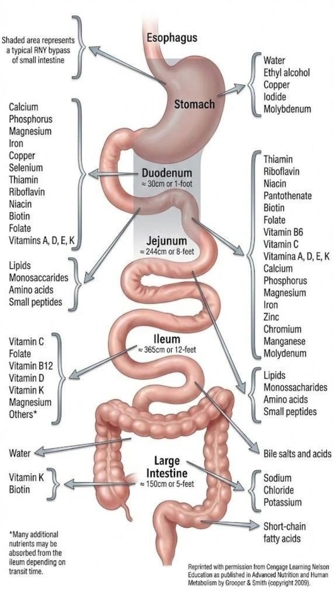 William A. Wallace, Ph.D. tweet media