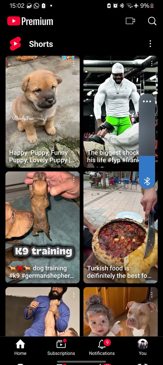 💲🅾️💲🅰️𓅓𓅓𓅓 tweet media