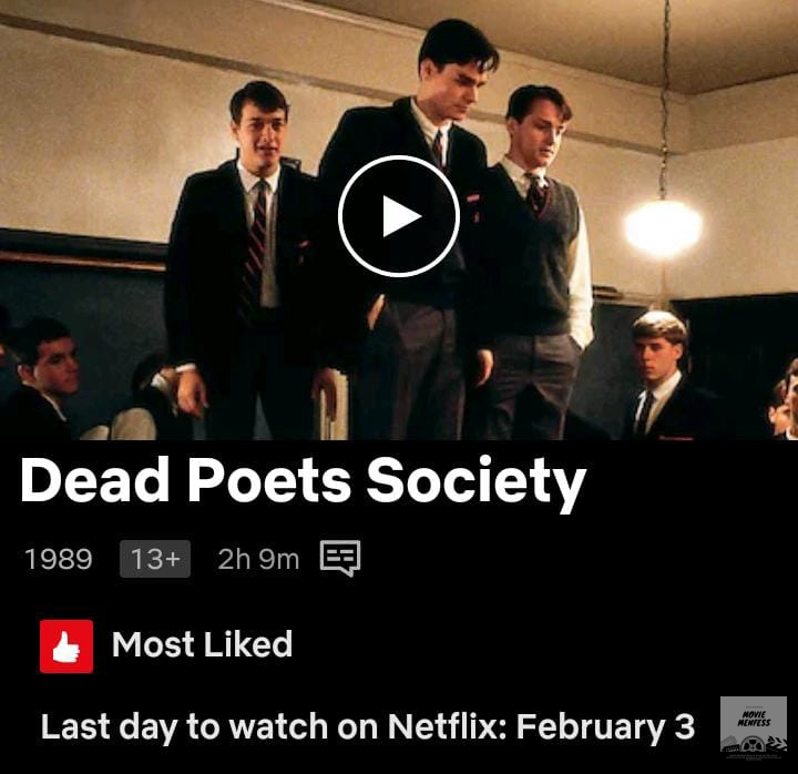 moviemnfs's tweet image. mvs dead poets society

carpe diem, but make it urgent because it’s leaving netflix soon !!