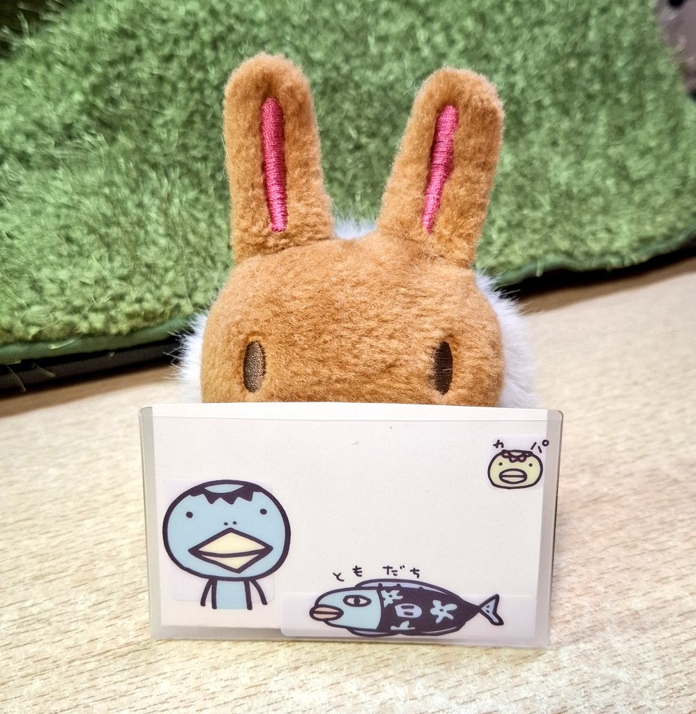 アランジアロンゾ 説明2 アランジアロンゾ 説明2 51bjAJI9omL.jpg