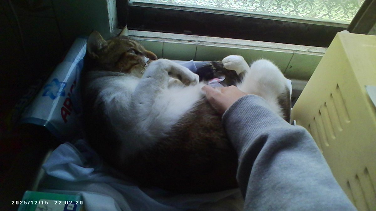 𝑌𝑖𝑥. tweet media