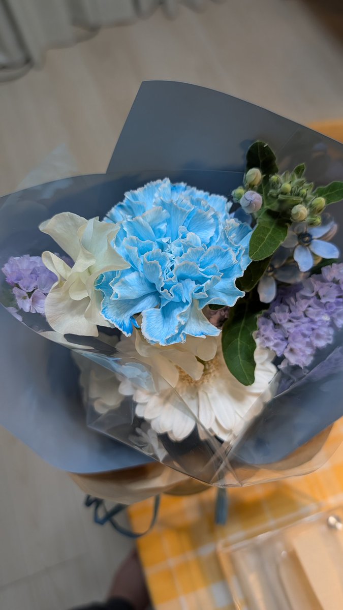 ✤ ✤ 春のカーネーション♬ 造花アレンジメント ✤ ✤ 生花】国産カーネーション レディシーン(複色)5-60cm程度 藤花園【FJ