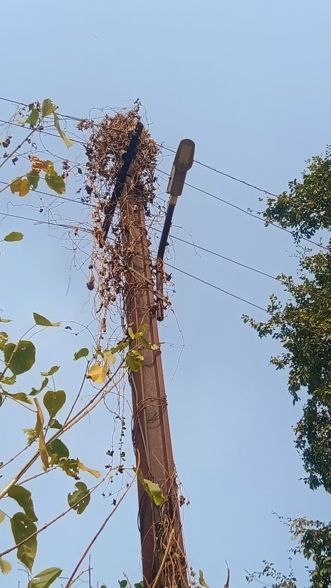 ବିଲ୍ ପରେ ବିଲ୍ ହେଉଛି ହେଲେ ଗାଁ ସାହିରେ ଲାଇଟ୍ ମରାମତି ହୋଇପାରୁନି, ଢେଙ୍କନାଳ ଜିଲ୍ଲା ଭୁବନ ବ୍ଲକ୍ ମାର୍ଥାପୁର ଗ୍ରାମର 10 ନମ୍ବର ୱାର୍ଡ <a href="/CMO_Odisha/">CMO Odisha</a> <a href="/PRDeptOdisha/">Panchayati Raj and Drinking Water Department</a> <a href="/districtadmndkl/">District Dhenkanal</a> <a href="/JanaSunani/">Jana Sunani</a> <a href="/SecyChief/">ChiefSecyOdisha</a> <a href="/BhubanBdo/">BDO BHUBAN</a>