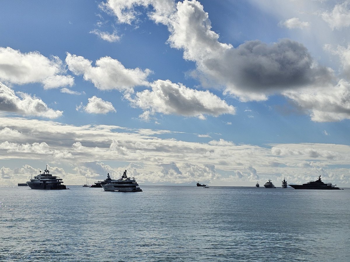 Dan Williamson tweet media