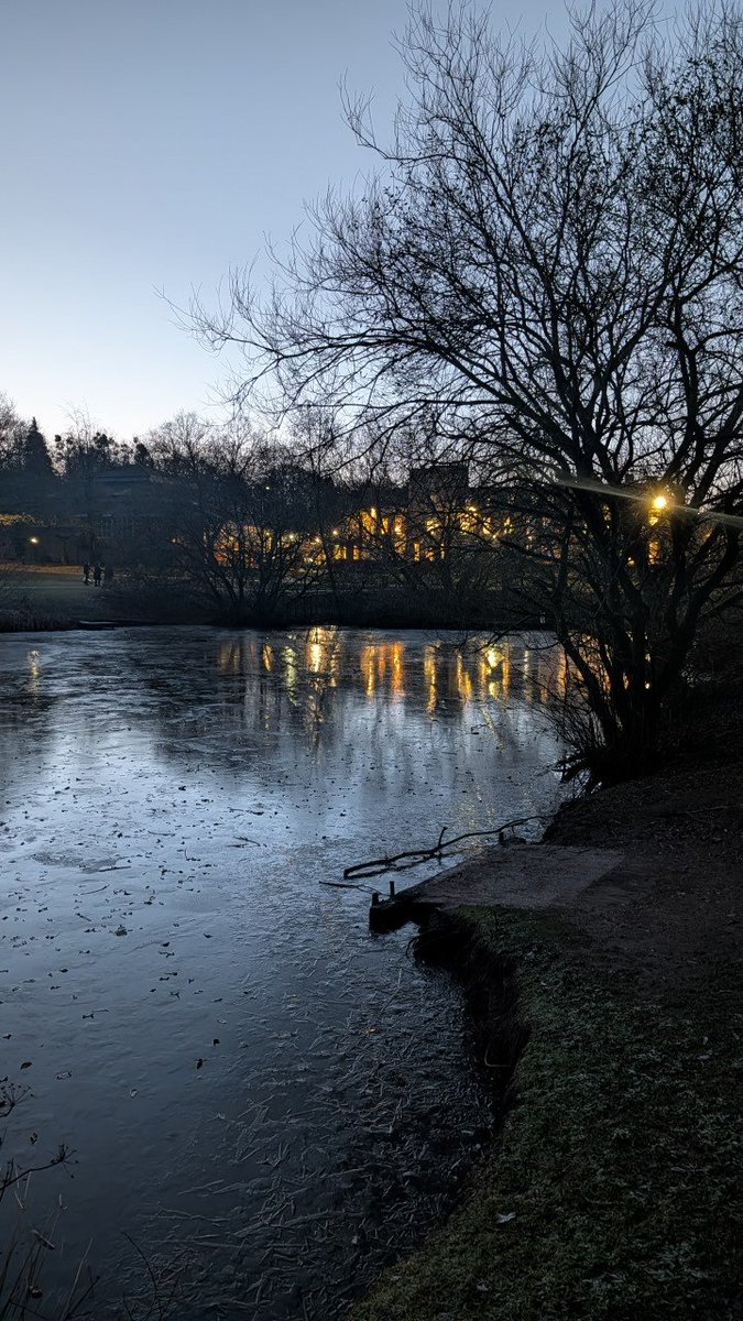 Early morning walk - I am starting my Fit2026 challenge today blog.petrsikora.uk/fit2026-reclai…