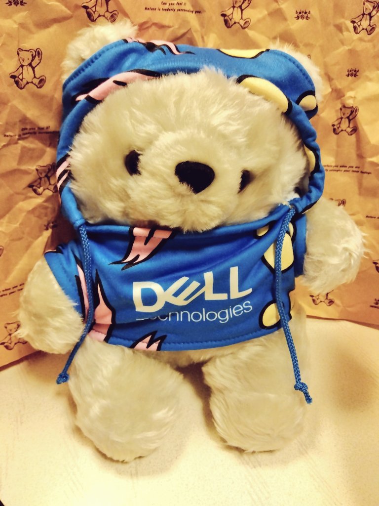 Dell_JPN 去年、当選DMを頂いておりまして… 本日！！デルベアーが届い