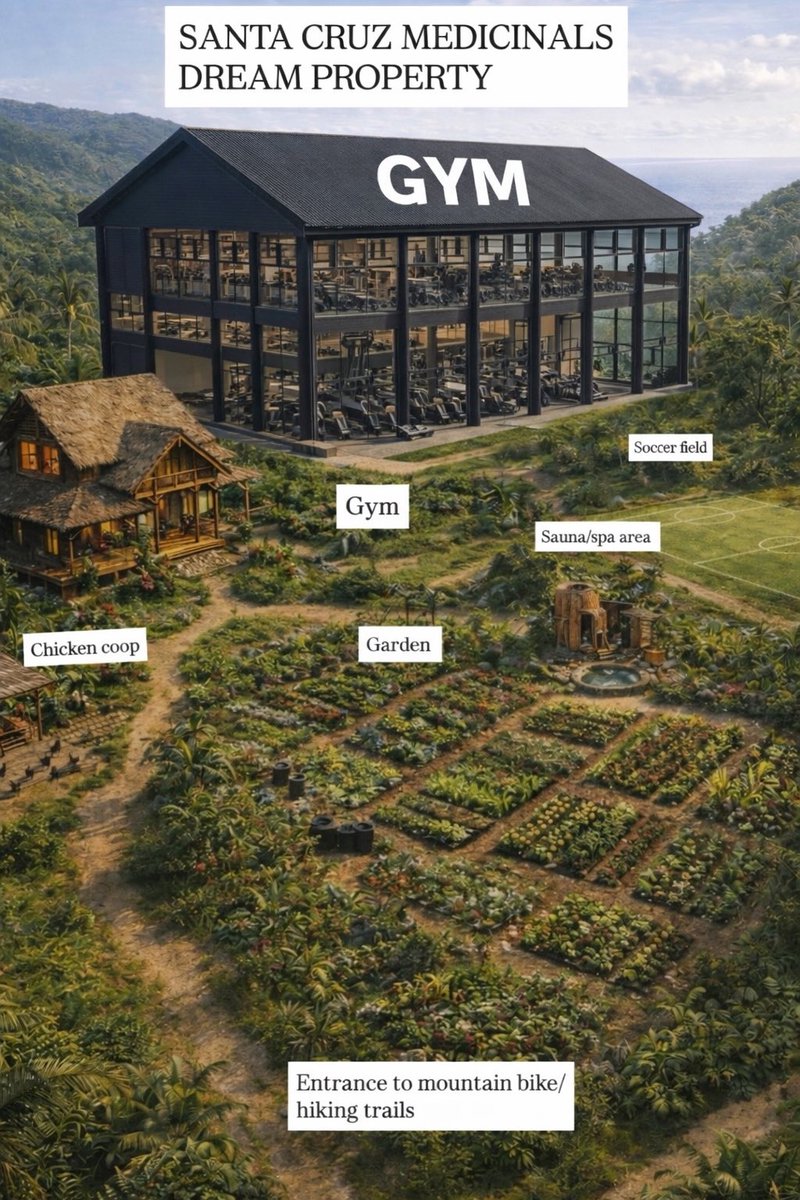 Cooper Mitchell tweet media