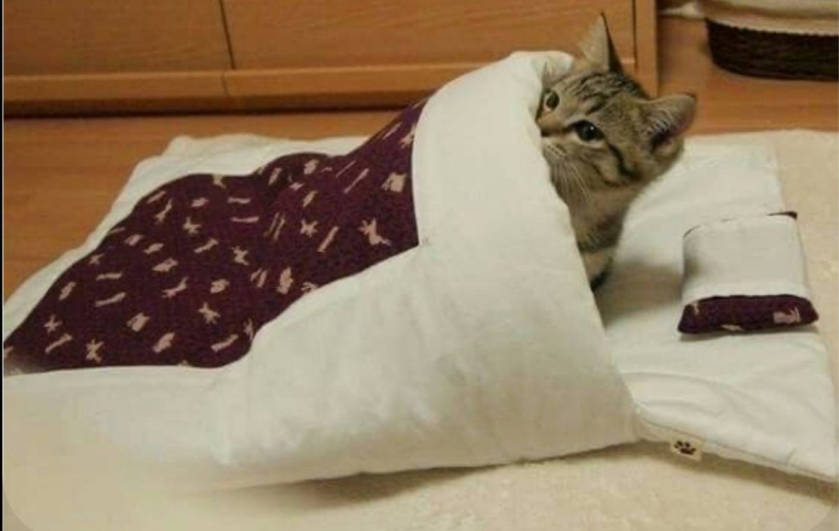 اگر سر پوش برداری، به کیوان می‌رسد آتش
ز بس کـاندر دل عشاق، آه آرزو مانده

شب بر همه ی عشاق خوش