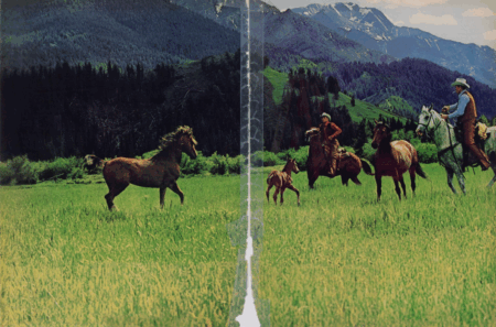 Collector Daily tweet media