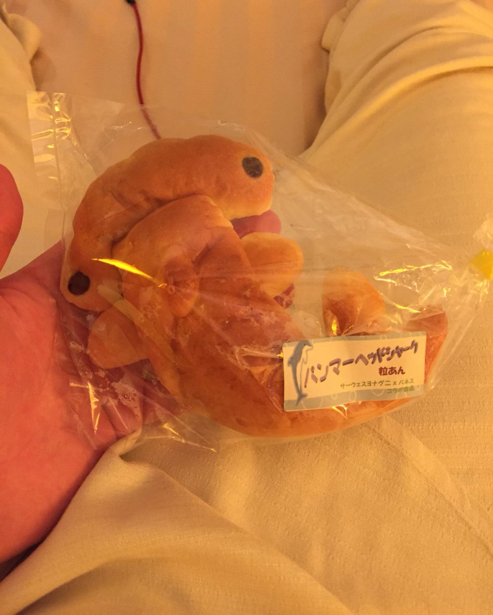 mooooo⭐︎ページ みゅう (@myuuu1350) / Posts / X