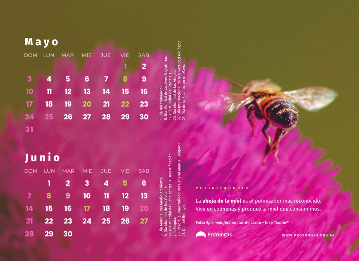 Natacha Chacoff tweet media