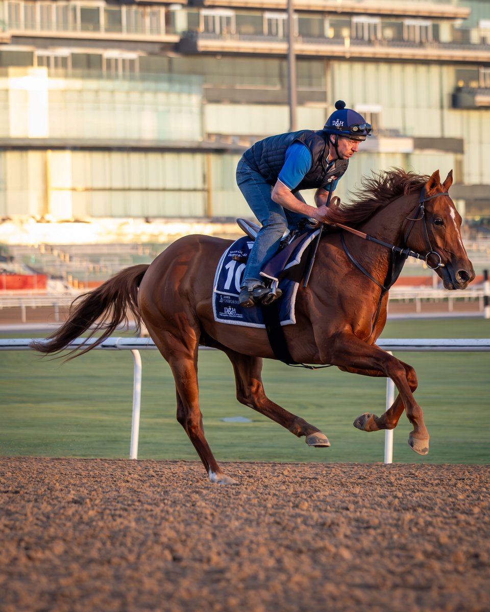 Dubai Racing Club tweet media