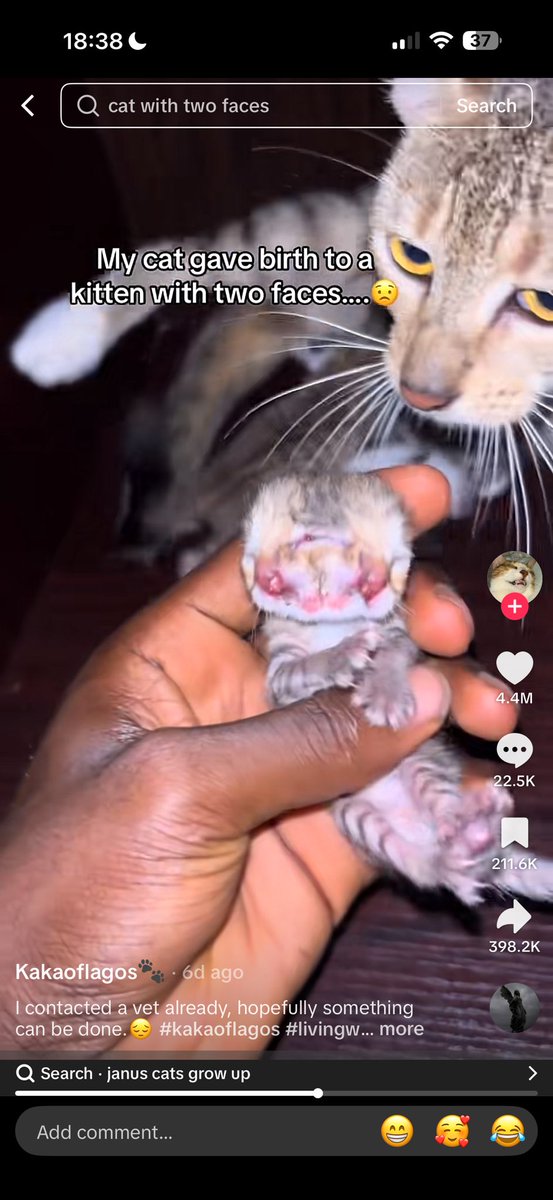 January.
Janus.
A two-faced newborn that took over the internet.
50M+ views didn’t happen by accident.
CA: FoVDRfG3P6zo33yAQU59MpSEJE7daEAsnKZZyMrupump