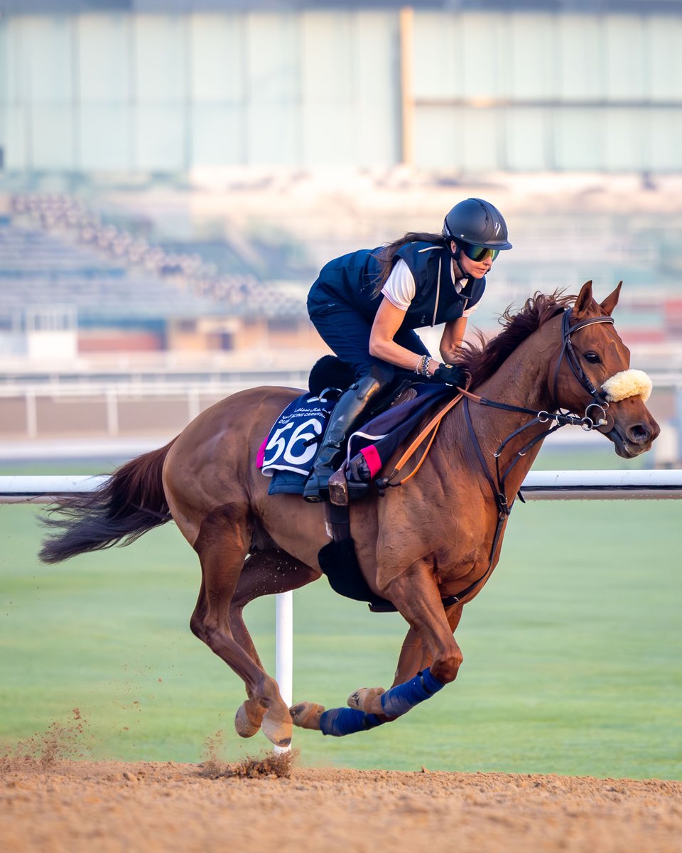 Dubai Racing Club tweet media