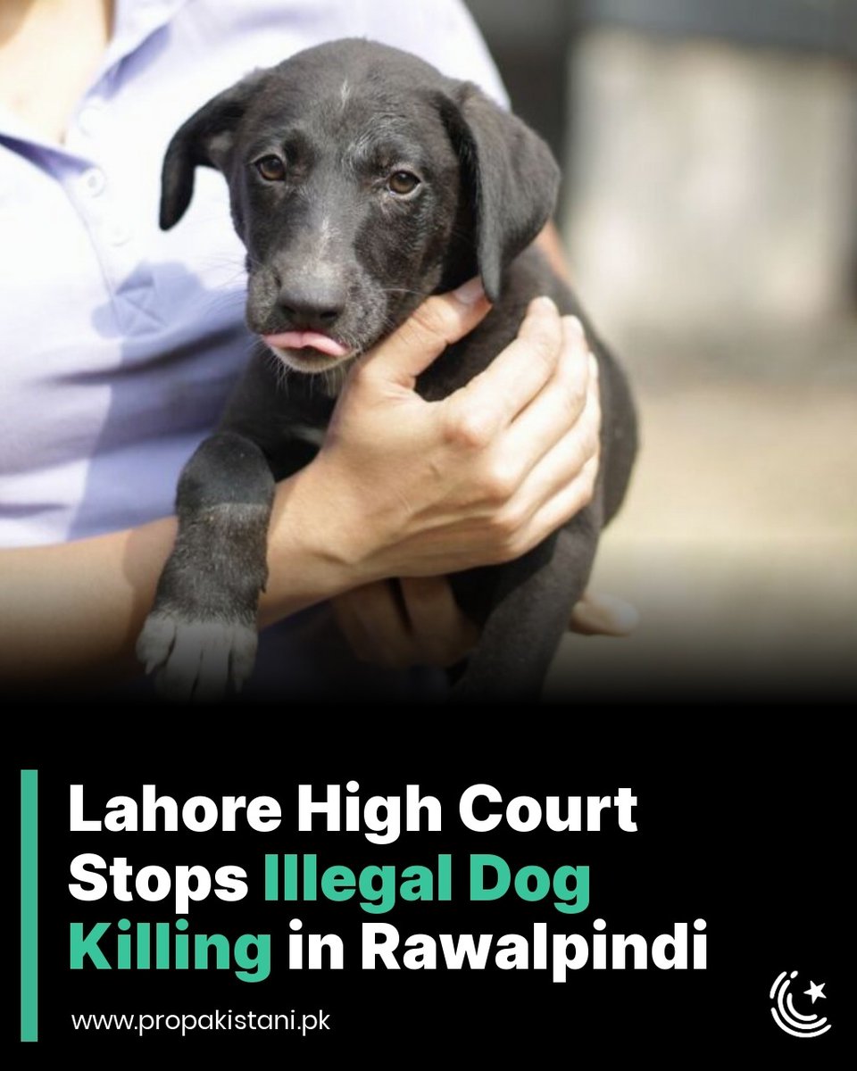 Altamush Saeed tweet media