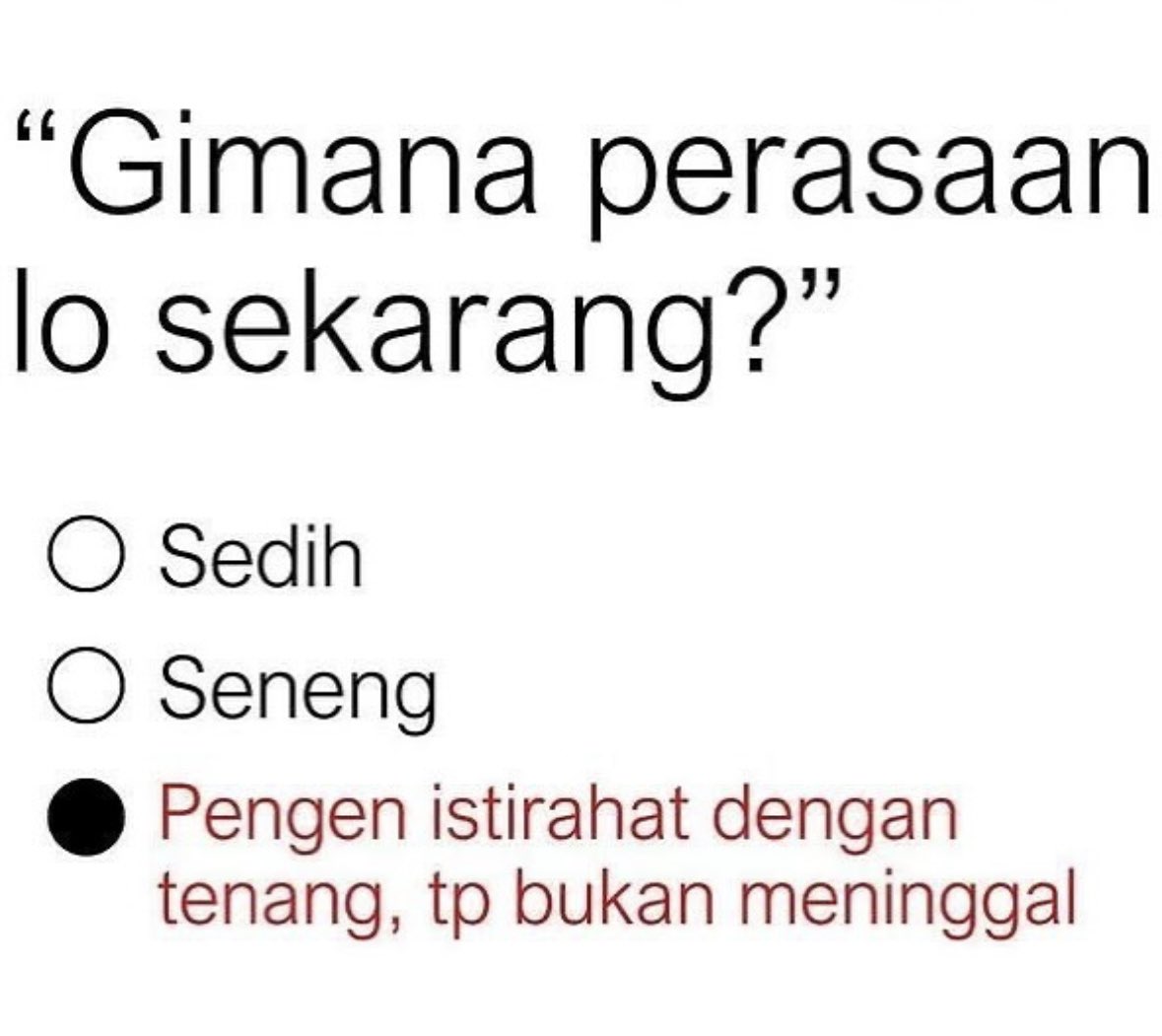 Every single dang night