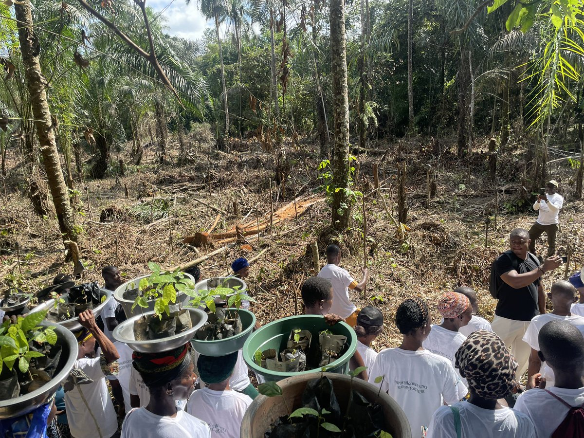 Pigdgreen's tweet image. Climate resilience begins with informed and empowered communities.
When people understand climate risks and have the tools to respond, they don’t just survive change they adapt and thrive. 

#ClimateResilience #CommunityDevelopment #PIGD