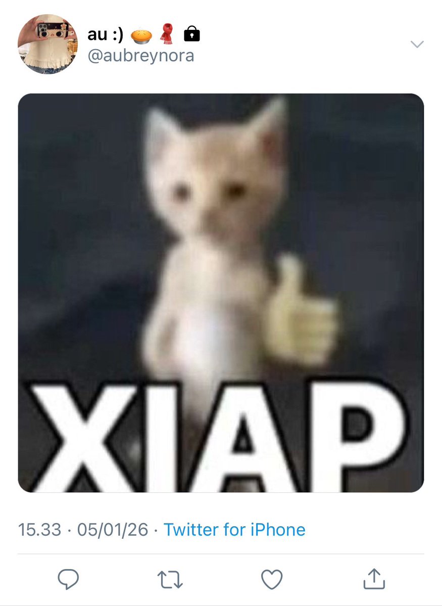 noa tweet media