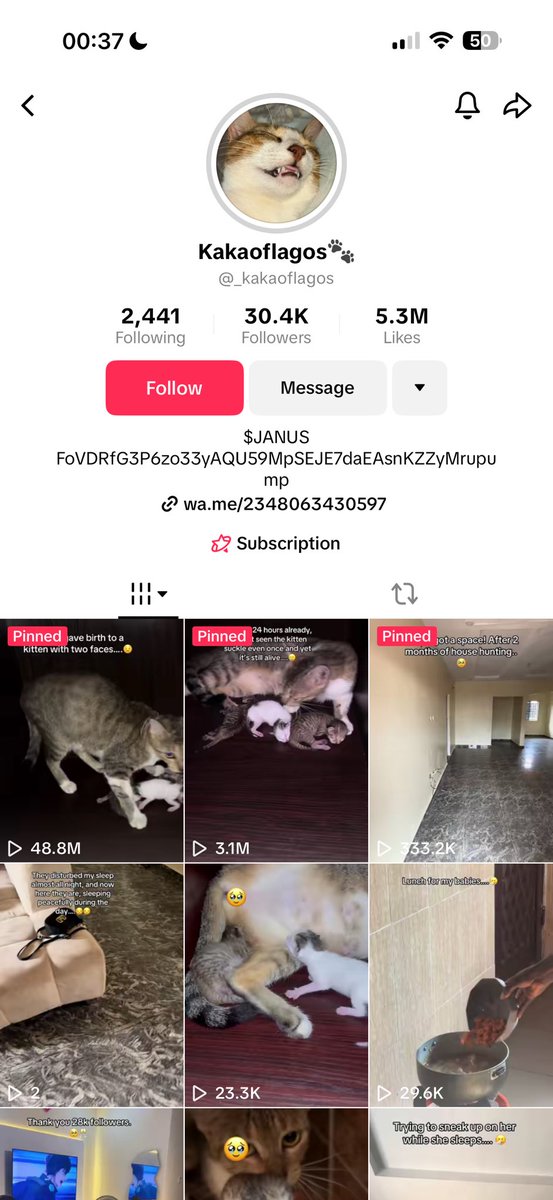 The Janus kitten’s owner is in.
Creator fees going to care.
This is one of those ones. 📈
$JANUS