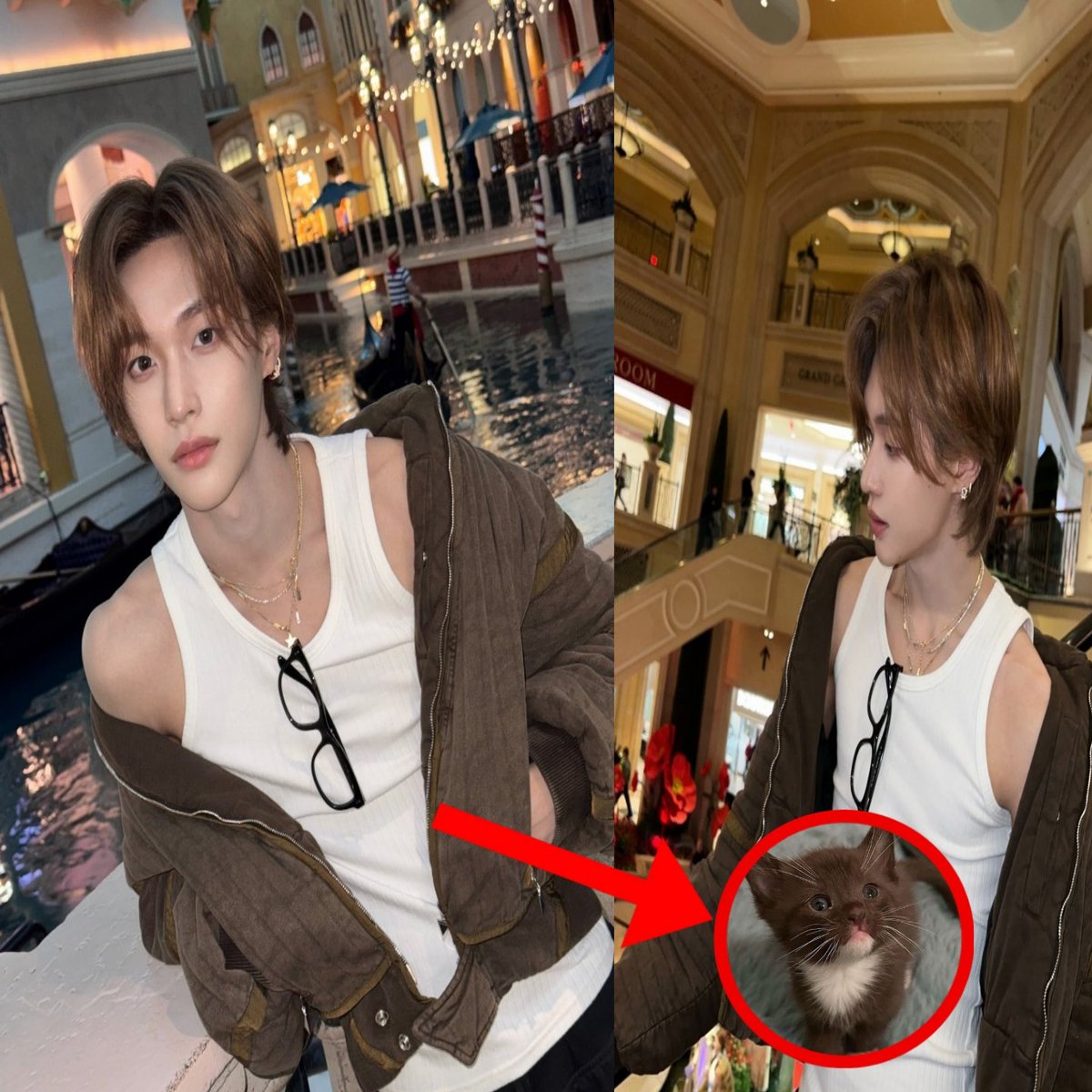 orbzbbin's tweet image. my cat