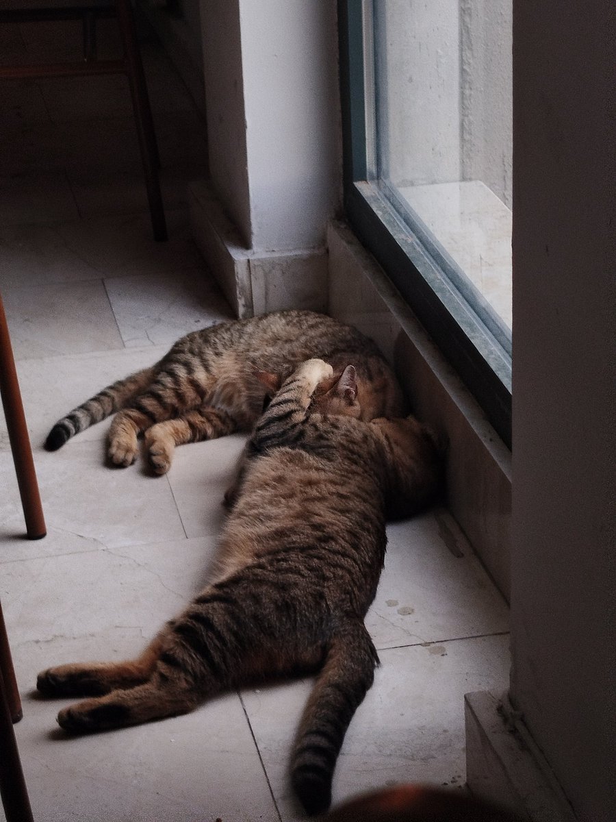 Mahremiyet sifir sifir sifir