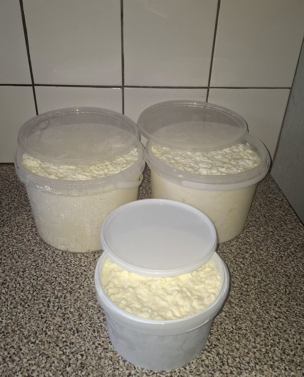 Prepacked Emasi Esintfu lashubile for sale. WhatsApp 79633031 or Call 78701665.
E60 / litre and E250 for 5 LITRES.
Location is Mbabane ,Sidvwashini 🇸🇿
<a href="/VisionMphephet1/">Isaac</a>