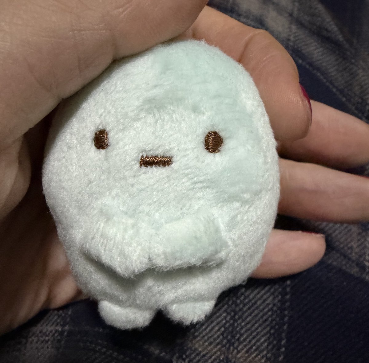 たぴおかをぷにぷにしてれば大丈夫って書いてあったから、今日たぴおかをお迎えした。ぷにぷにしとく。かわいい。今年はたくさんいいことありますように。