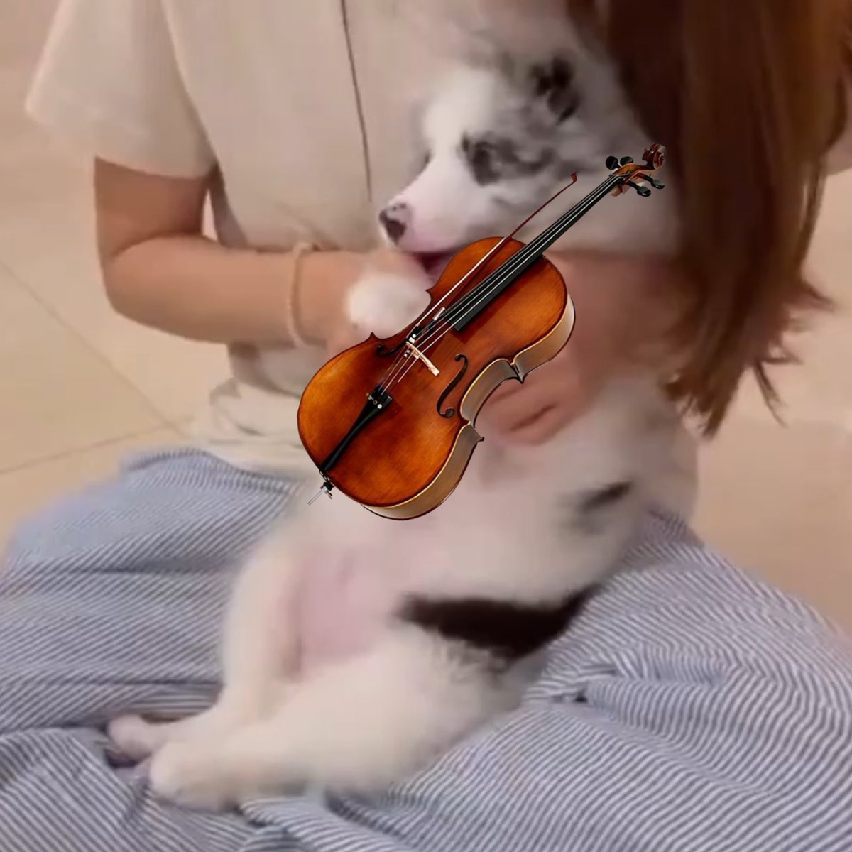 special performance at feelquency concert #BILLKIN_FEELQUENCY