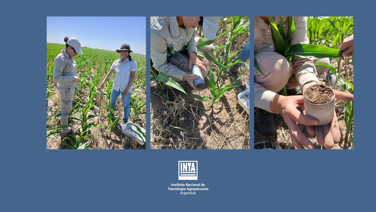 Medición de Infiltración,densidad aparente. 
Muestras para carbono, erodabilidad en lotes post-maní de Gral.Cabrera y zona.

Ing. Agr. Juan Cruz Colazo-Ing. Agr. Laura Tamiozzo-Biol. Mariela Monetti-Ing. Agr. Manuel Vicondo-Ing. Agr. Sofía  Alobatti y Est.#UNRC Agustín  Manchado