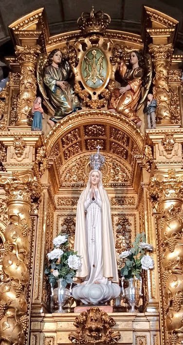 FE y más FE tweet media