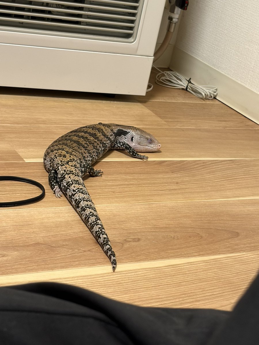 おめーは長生きしろよ