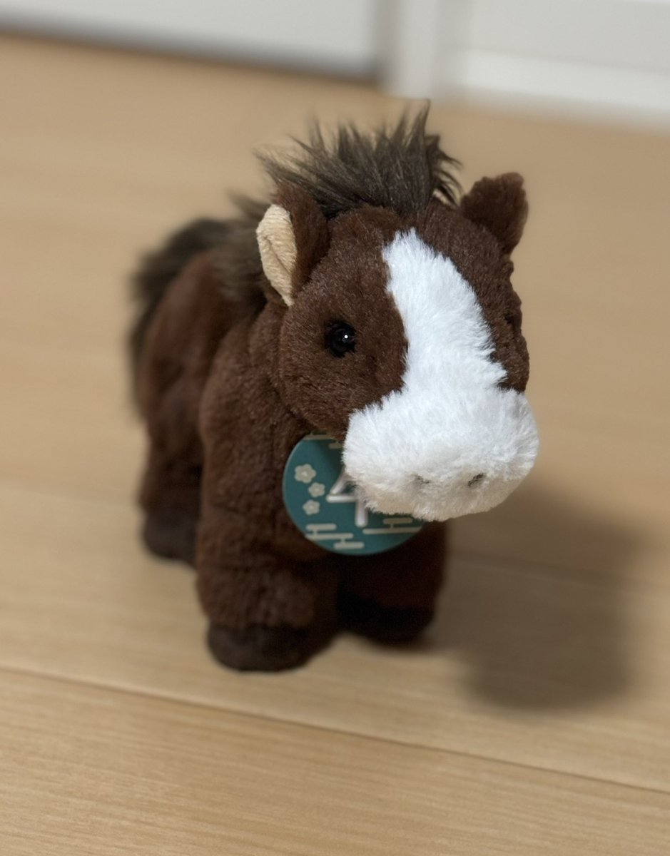 T_usayuki's tweet photo. タピオカファミリーに
またまた午年の新しい家族だよ〜✨✨
名前はアレちゃん🐴
仲良くしてね〜😆

#午年 #フラッフィーズ #サンレモン #sunlemon #ぬい活 #ぬい撮り #ぬいぐるみの時間 https://t.co/6lpflXd26a