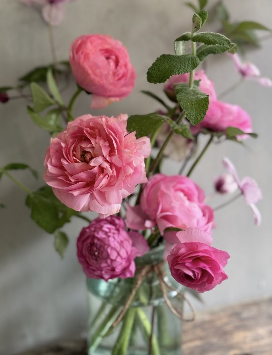 A little reminder this is what they look like and this is the reason I’m so besotted with them! I grow about 6 different colours too 😂🤞💐