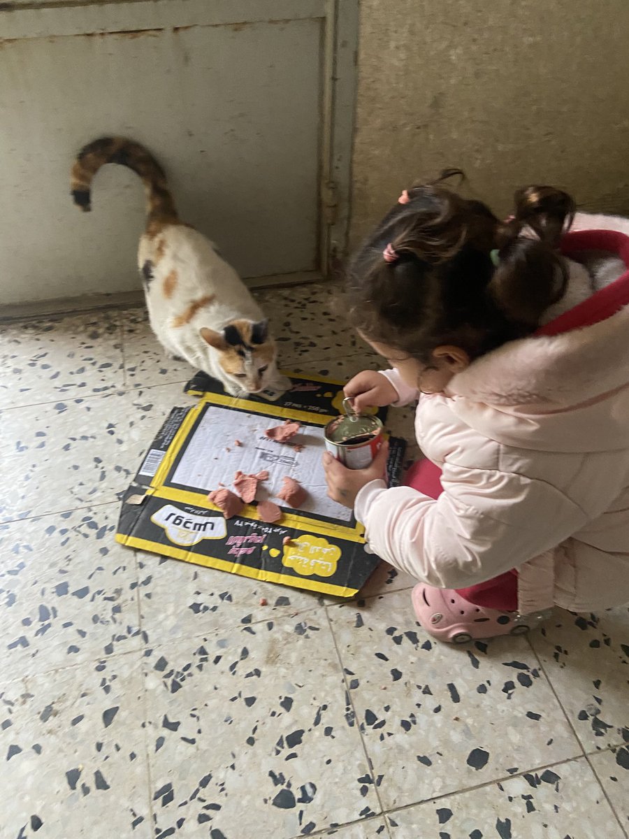 SARAMoh69489245's tweet image. Thank you kindly for your supportive words, my friends🫂, but unfortunately our situation remains urgent and I'm asking you again today for your help so that my family can survive this extremely difficult time.🙏🆘️ Food is not cheap, my friends, and things like diapers and milk…