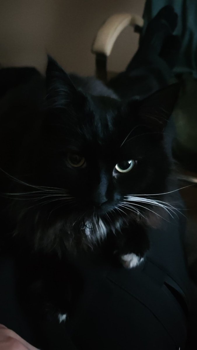 Life_leon's tweet image. 