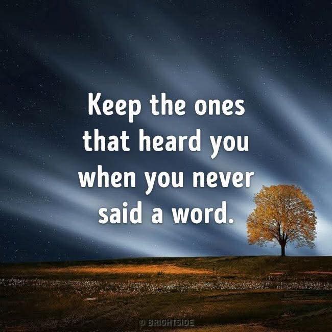 David Rainer tweet media