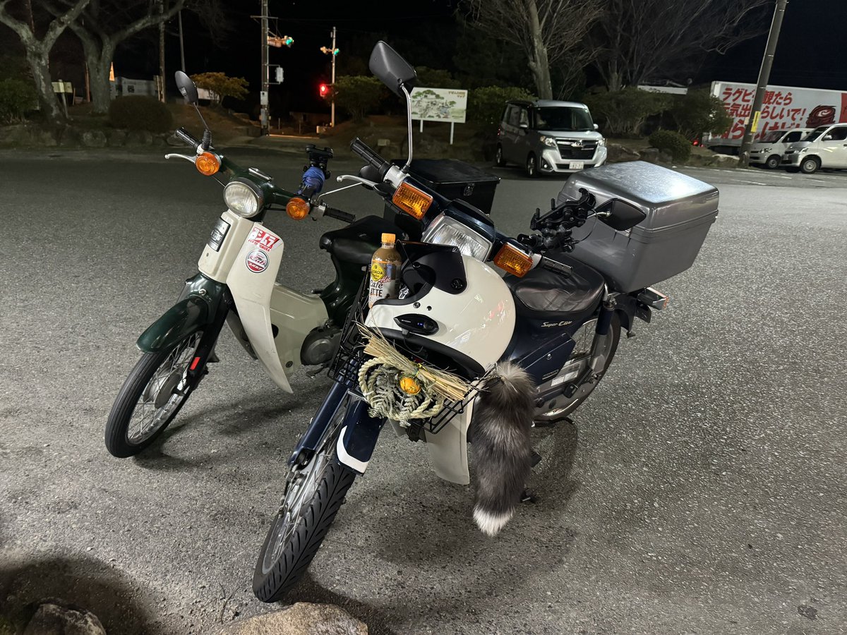 早い者勝ち❗ AR45枚まとめ売り❗フリーザー　フシギソウ他 かっこいいデザインにも注目！ エスパータイプを持つポケモンたち の