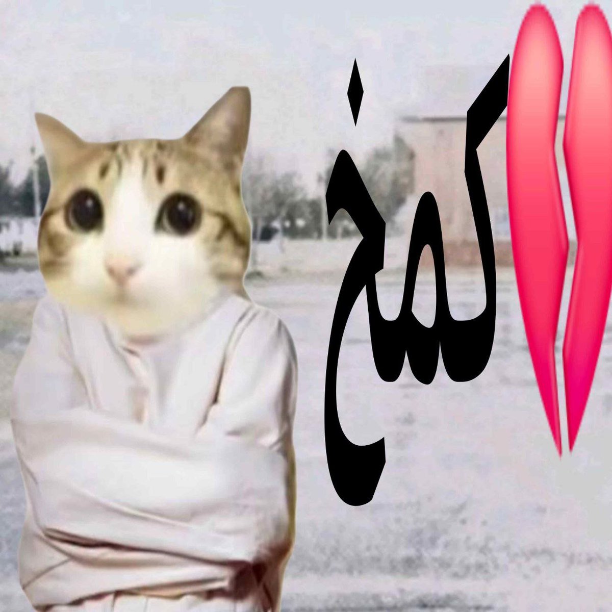 جعبه tweet media