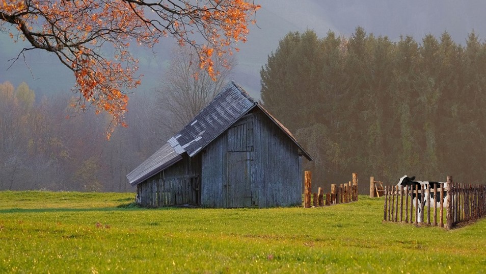 Cuentos e historias para despertar
LA VACA
siyocambiotodocambia.blogspot.com/2026/01/la-vac…