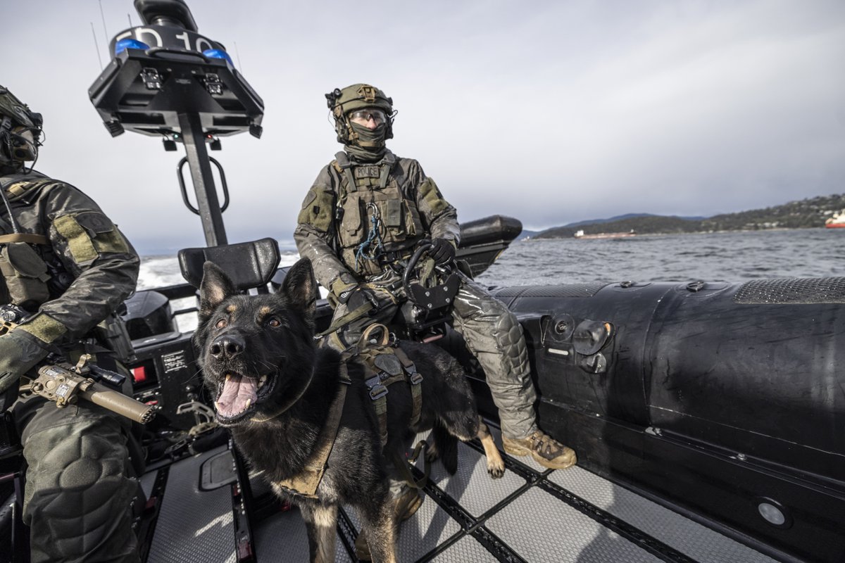 RCMP Police Dog Service teams work alongside other Members at major events, along the border, and during frontline operations across Canada. 

Through specialized training and strong handler partnerships, these four-legged teams support complex policing work nationwide. 

Learn
