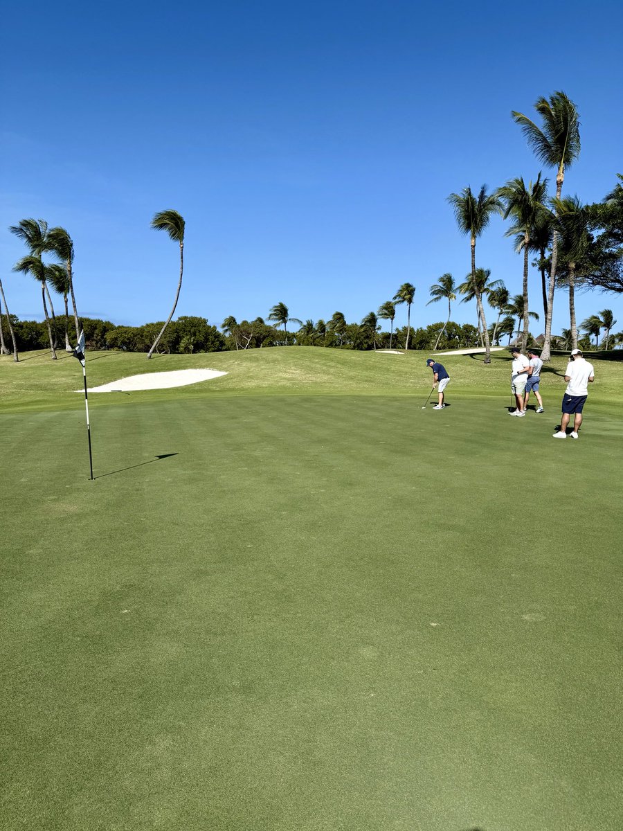 Rami Reda tweet media