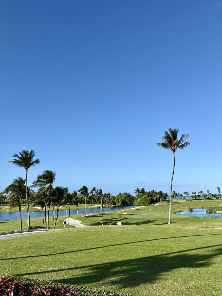 Rami Reda tweet media