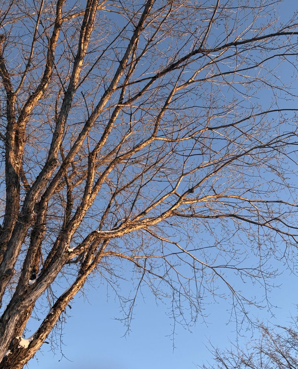 Lowetide tweet media