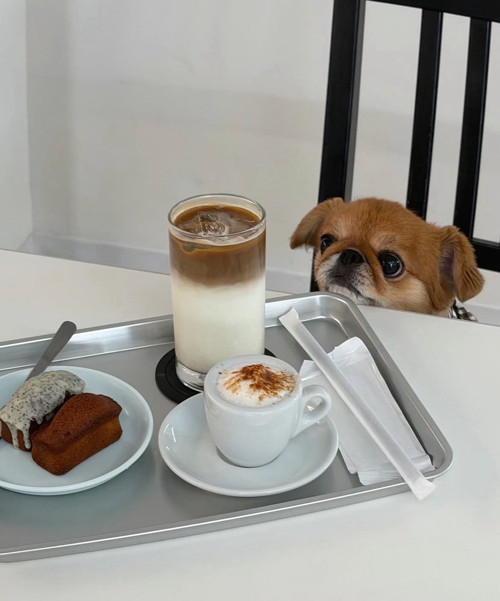 ここら辺のｶﾌｪ行きたい૮꒰ ꈍ⩊ꈍ ꒱ა❣️ 名古屋本当に可愛いｶﾌｪ