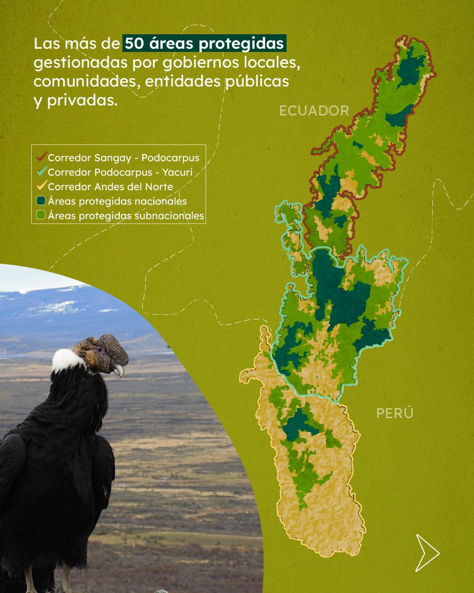 Plan Binacional Capítulo Ecuador tweet media