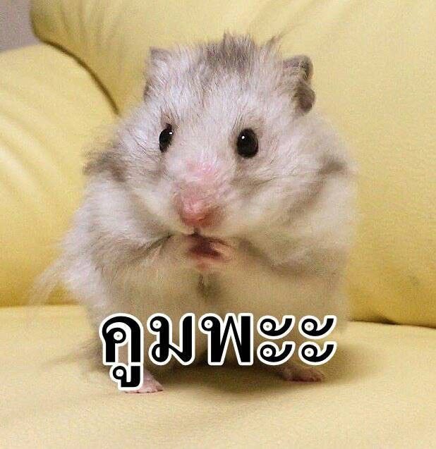 อยู่ดีๆ ก็มีคนบอกว่าจะทำคูปองมัจฉะฟรีให้ คือทุกครั้งที่เจอหน้ากันจะเลี้ยงมัจฉะแก้วนึง แกก ชั้นงง เหมือนถูกล่อลวงงงงง