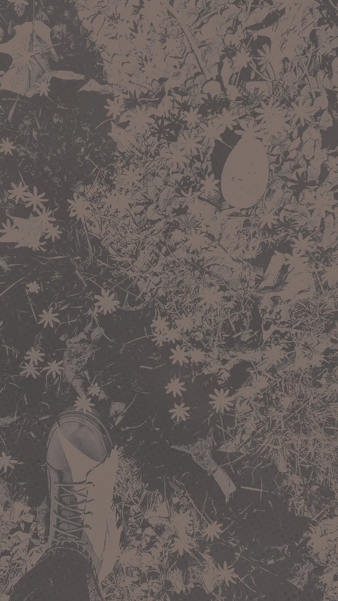 noizerl's tweet image. khai's nature diaries.

bilmem kaçıncı doğa günlüklerinden merhaba. bugün birlikte etkinlik defterinde kullanabilmesi için bir sürü yaprak, çalılıklar, kozalaklar topladık. yolda tanıyıp tanımadığı herkese bu defteri gösteriyor, her an onlardan biri olabilirsiniz.