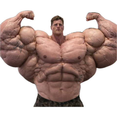 rina maiya tweet media